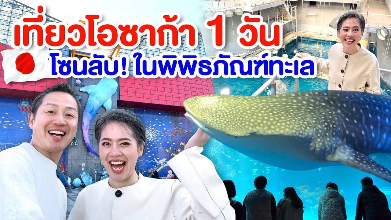 เที่ยวโอซาก้า1วัน เที่ยวตามได้ง่ายๆ ดูโซนลับพิพิธภัณฑ์ทะเลโอซาก้า
