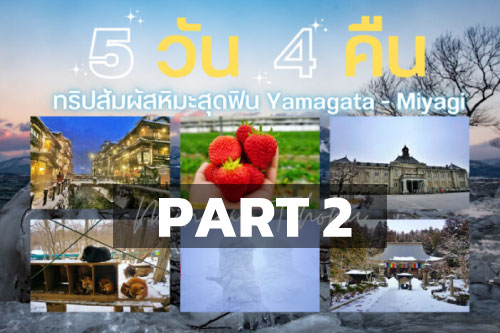 5 วัน 4 คืน Minami Tohoku ทริปสัมผัสหิมะสุดฟิน เที่ยว Yamagata – Miyagi (Sendai) Part 2