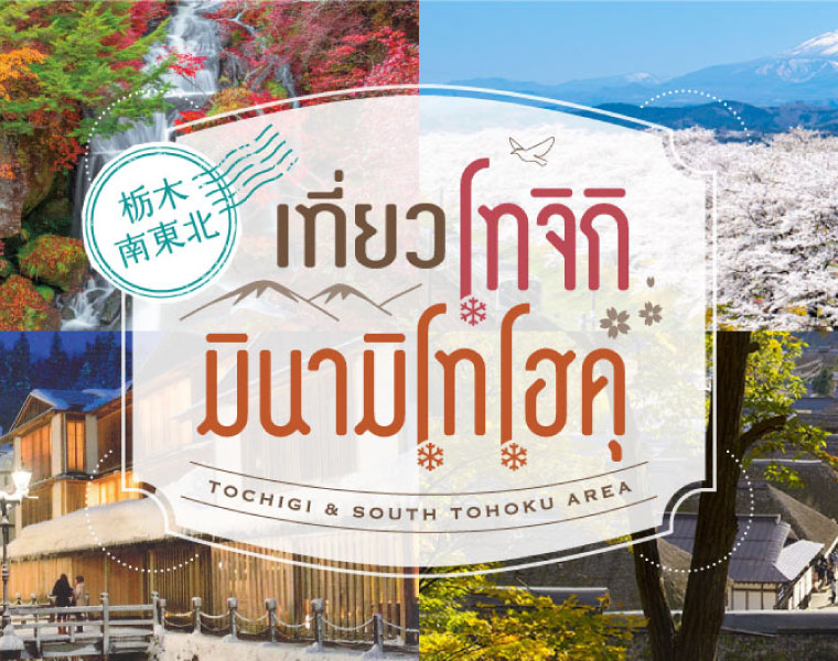 ว ตาม น Dhc ต วไหนด ช วยเร องอะไรบ าง อยากร ต องด Chill Chill Japan