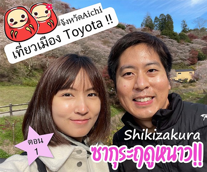 ว ตาม น Dhc ต วไหนด ช วยเร องอะไรบ าง อยากร ต องด Chill Chill Japan