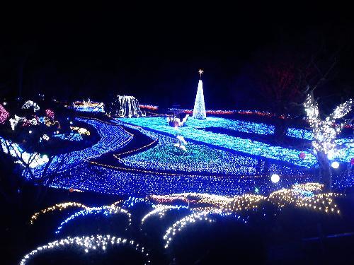 illuminate-festival-kansai