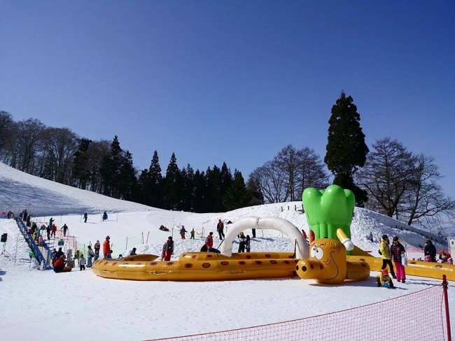  Ski Resort Nagano