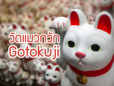 Gotokuji Temple ตำนานวัดแมวกวักโชค โตเกียว