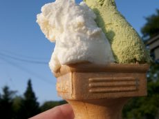 ฟินท้าหนาวกับ 8 ร้านไอศกรีม นมฮอกไกโด หอมอร่อยไม่เกิน 500 เยน