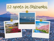 12 ที่เที่ยวชิซูโอกะ (Shizuoka) ชมวิวฟูจิ เที่ยวเมืองแห่งธรรมชาติ พร้อมชิมของเด็ด