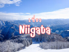 10 ที่เที่ยว นีงาตะ (Niigata) ดินแดนอาหารทะเลและสาเก พร้อมดื่มด่ำธรรมชาติในดินแดนต้องมนตร์