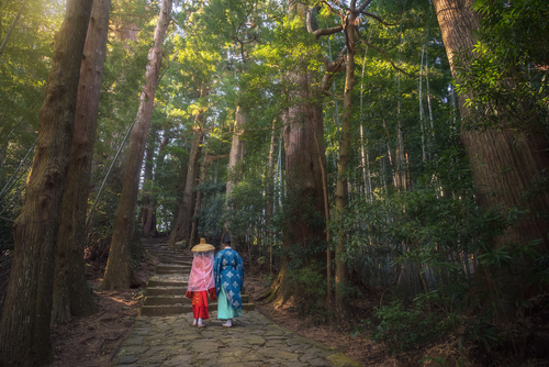 เดินเท้าชมความงดงามเส้นทางแสวงบุญมรดกโลก Kumano Kodo