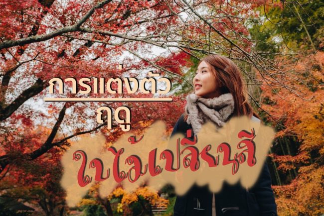 เที่ยวญี่ปุ่นเดือนพฤศจิกายน แต่งตัวอย่างไร แนะนำทริคดีต้องรู้ - Chill Chill Japan เที่ยวญี่ปุ่นเดือนพฤศจิกายน แต่งตัวอย่างไร แนะนำทริคดีต้องรู้ - Chill Chill Japan
