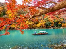 8 พิกัดชม ใบไม้เปลี่ยนสี เกียวโต บรรยากาศดี ที่คุณต้องหลงรัก