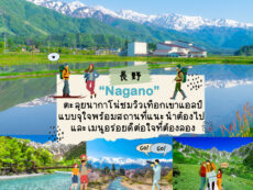 ตะลุยนากาโน่ (Nagano) ชมวิวเทือกเขาแอลป์แบบจุใจพร้อมสถานที่แนะนำต้องไป และเมนูอร่อยดีต่อใจที่ต้องลอง