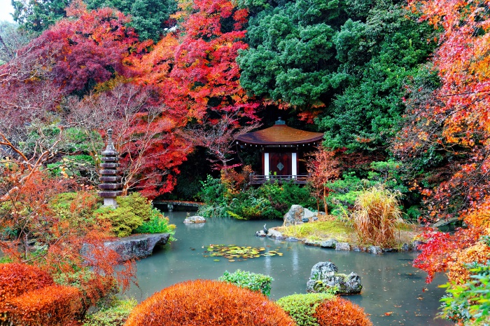 ใบไม้เปลี่ยนสี เกียวโต