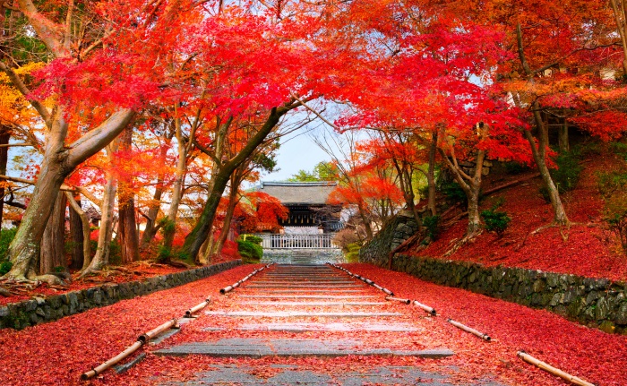 ใบไม้เปลี่ยนสี เกียวโต