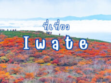 10 ที่เที่ยว อิวาเตะ (Iwate) ดินแดนความฝัน สวรรค์ของธรรมชาติ