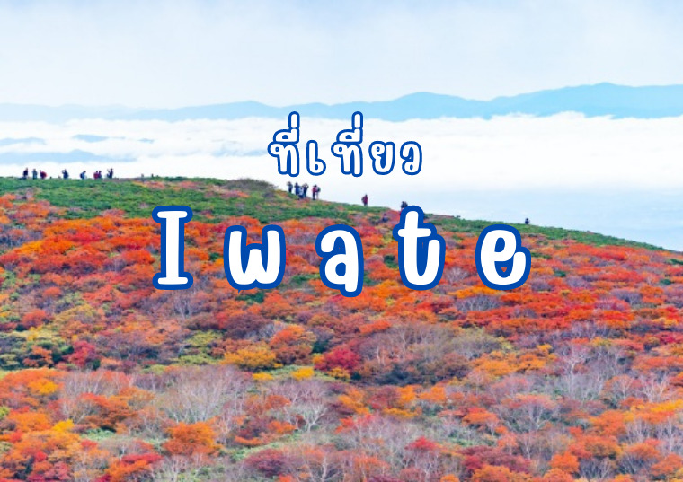 10 ที่เที่ยว อิวาเตะ (Iwate) ดินแดนความฝัน สวรรค์ของธรรมชาติ