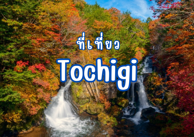 12 ที่เที่ยว โทชิกิ (Tochigi) เสน่ห์เมืองเก่ามรดกโลก ไปง่ายๆ ไม่ไกลจากโตเกียว