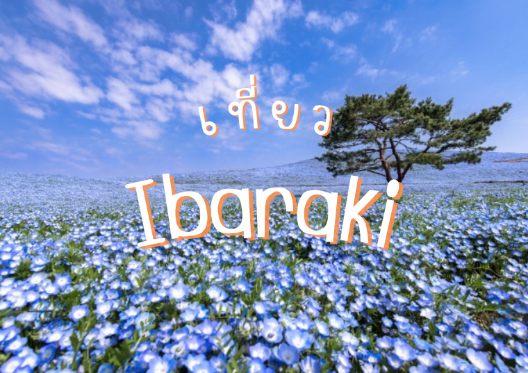 เที่ยว Ibaraki