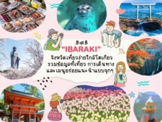 อิบารากิ (Ibaraki) อีกจังหวัดเที่ยวง่ายใกล้โตเกียวรวมข้อมูลที่เที่ยว และเมนูอร่อยแนะนำแบบจุกๆ
