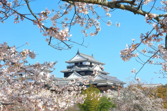 เที่ยว Ehime เมืองเก่าโบราณสถาน ส้มหวาน กลิ่นอายเสน่ห์ญี่ปุ่น ที่ห้ามพลาด