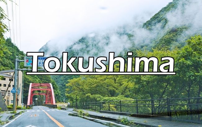 Adult Guide Tokushima