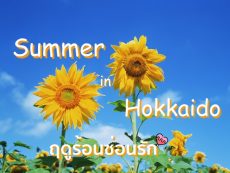 ตะลุย 11 ที่เที่ยว Hokkaido Summer  เริงร่าไปกับฤดูร้อนซ่อนรัก