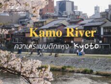 ปล่อยใจไปกับบรรยากาศสุดโรแมนติกที่ Kamo river แห่งเกียวโต