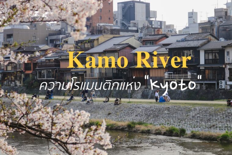 ปล่อยใจไปกับบรรยากาศสุดโรแมนติกที่ Kamo river แห่งเกียวโต