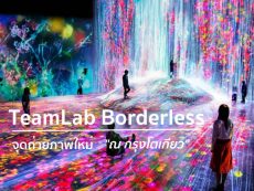 TeamLab Odaiba ศิลปะแบบ Borderless จุดถ่ายภาพสุดล้ำ ณ กรุงโตเกียว