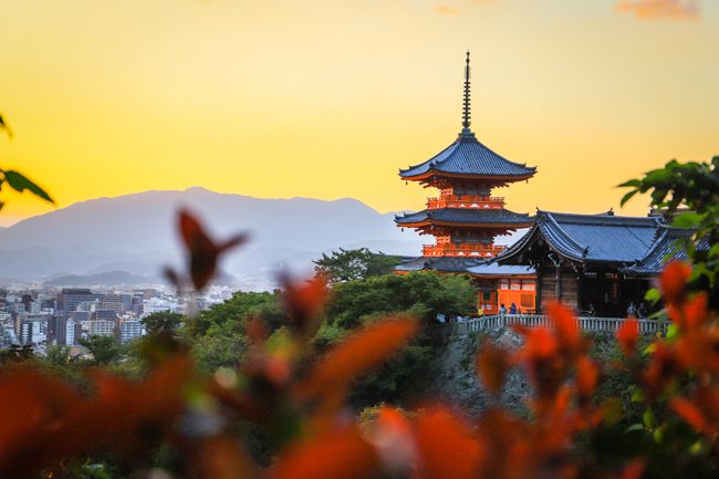 แบกกล้องเที่ยว เกียวโต โอซาก้า 3 วัน 2 คืน  กับวิวดาวล้านดวงและดื่มด่ำกับความเป็นญี่ปุ่นให้คุ้ม(EP2) - Chill Chill Japan