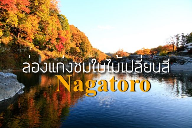 ล่องแก่ง นากาโทโระ (Nagatoro) ชมใบไม้เปลี่ยนสีไซตามะ