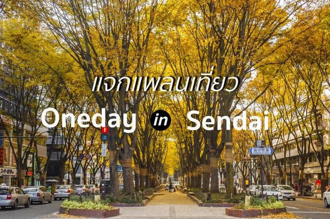 แจกแพลน 1 Day Trip เที่ยวมิยางิ สุดฟิน In Sendai เก็บครบทั้งช้อป ชิม ชิล!