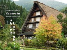 ร่วมฉลองเทศกาลพื้นบ้าน Doburoku ทำกิจกรรมสนุกๆในป่าที่ TOYOTA Shirakawa-Go Eco-Institute
