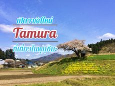 เปิดวาร์ปที่ เที่ยวฟุกุชิมะ เมือง Tamura เมืองเล็กๆ สวรรค์ของคนรักธรรมชาติ