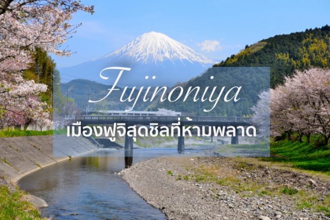 8 แลนด์มาร์ก Fujinomiya เมืองฟูจิสวยประทับใจ เดินทางได้จากโตเกียว