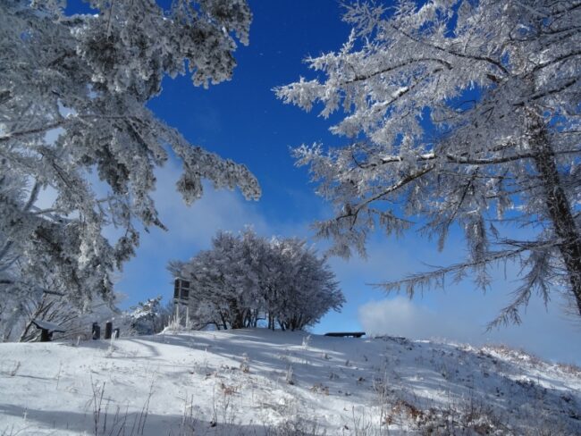 ชี้พิกัดเที่ยวใกล้นาโกย่าในหน้าหนาว พาชมปีศาจหิมะตระการตาแห่งเมือง โทโยตะ