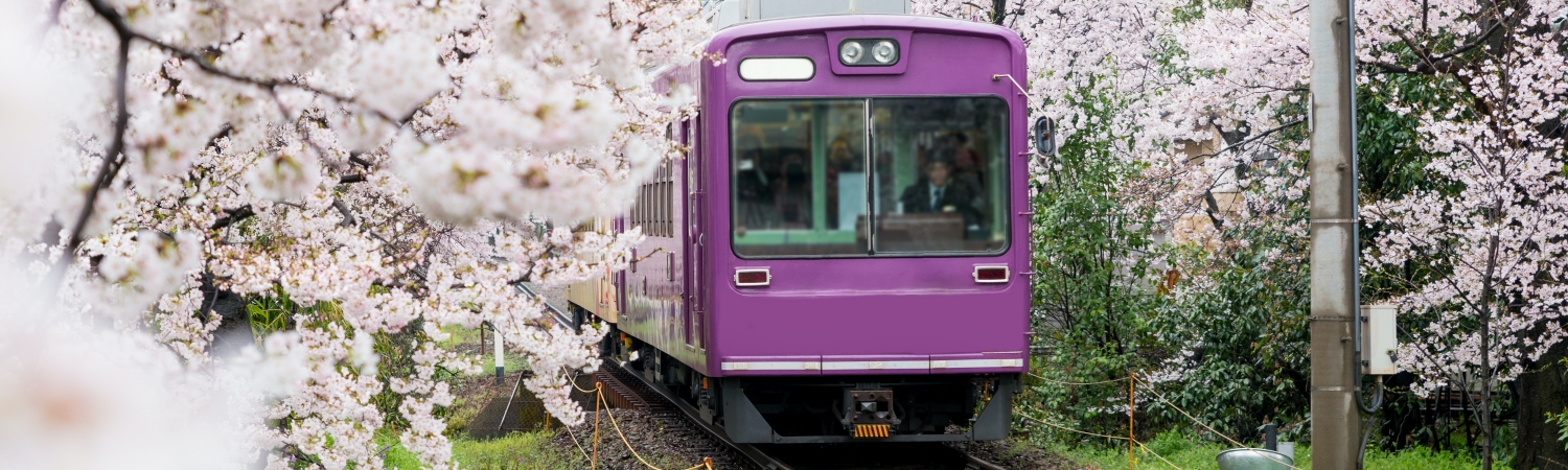 รถไฟญี่ปุ่น สะดวกรวดเร็ว เดินทางง่าย ไม่หลง
