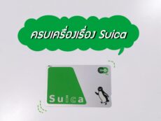 เที่ยวทั่วญี่ปุ่นด้วย บัตร Suica ซื้อที่ไหน ขึ้นอะไรได้บ้าง รวมทุกข้อมูลที่ควรรู้!