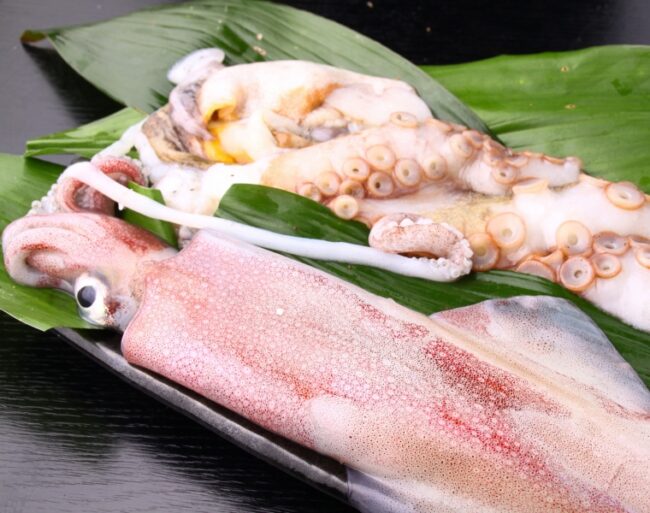 รู้จัก ปลาหมึกญี่ปุ่น : ทาโกะ (Tako) และ อิกะ (Ika) คืออะไร