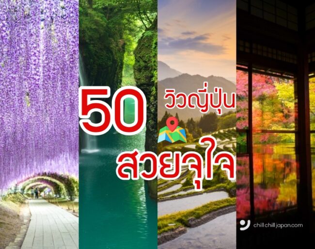 50 วิวญี่ปุ่น สวยตะลึง ที่ต้องไปเยือนสักครั้ง