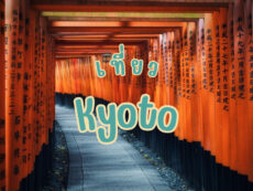 15 ที่เที่ยว เกียวโต (Kyoto) มนต์เสน่ห์แห่งญี่ปุ่น ที่ไม่ควรพลาดการเช็คอิน !