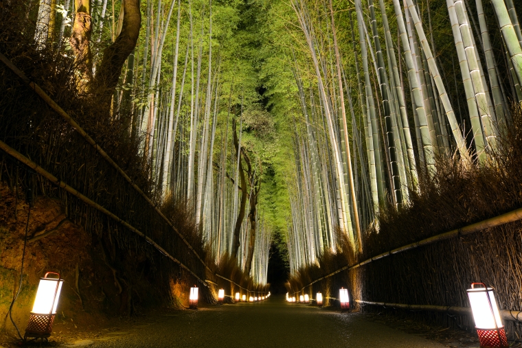  ป่าไผ่　เกียวโต