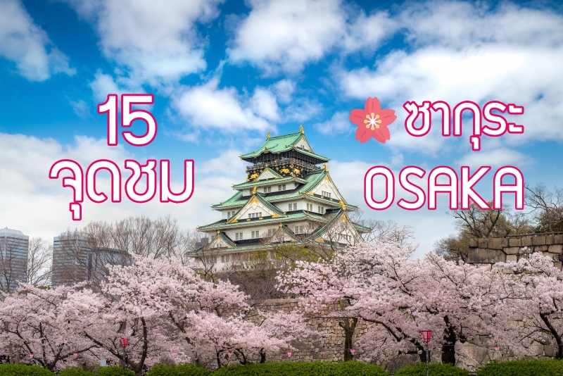อัพเดท 15 จุดชม ซากุระ โอซาก้า สวยละลานตา น่าประทับใจ - Chill Chill Japan