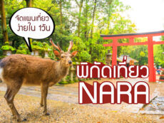 ที่เที่ยว นารา (Nara) 10 พิกัดเด็ด กิจกรรมโดน พร้อมแผนที่เที่ยว