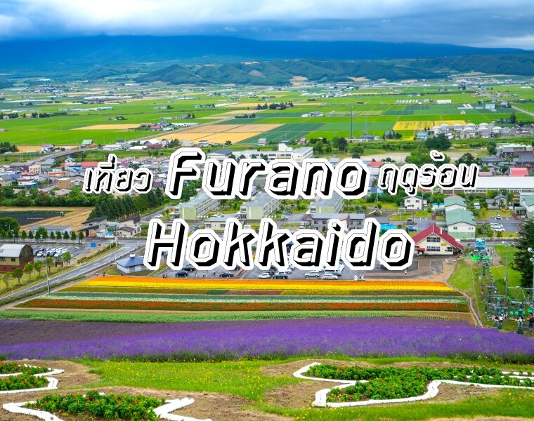 เที่ยว Furano เยือนเมืองดอกไม้ ชิมชีส Hokkaido พร้อมบอกวิธีการเดินทาง