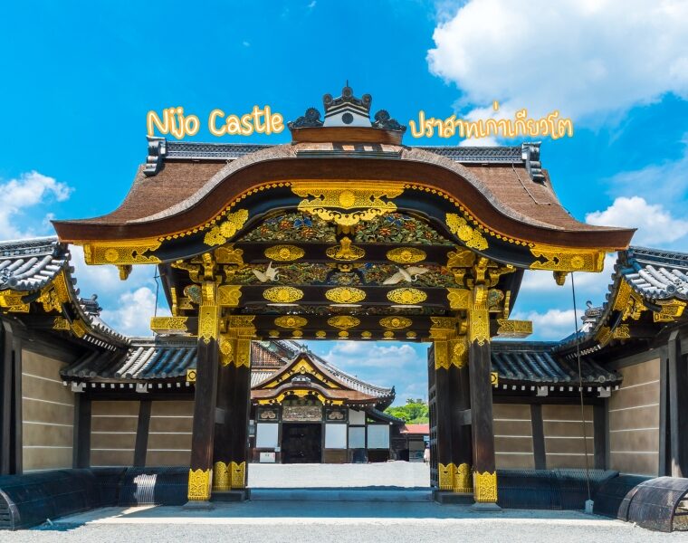 Nijo Castle : ปราสาทนิโจ เยือนมรดกโลก ใจกลางเกียวโต