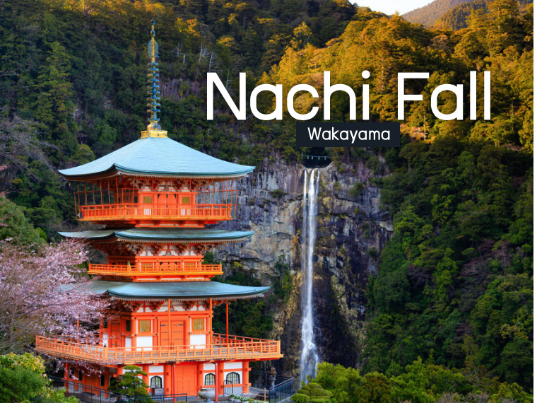 Nachi Fall น้ำตกสวย เคียงวัด Seigantoji แห่งวากายามะ