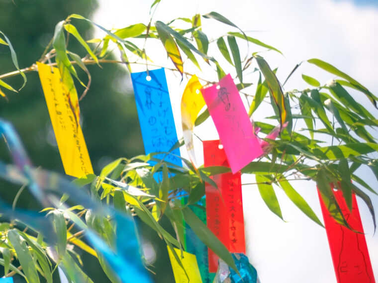 รู้จัก เทศกาล ทานาบาตะ (Tanabata) : เทศกาลขอพรดวงดาว คืออะไร