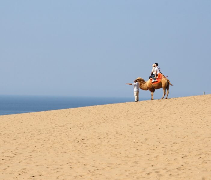 Tottori Sand Dunes เที่ยวทะเลทรายขนาดย่อมในญี่ปุ่น