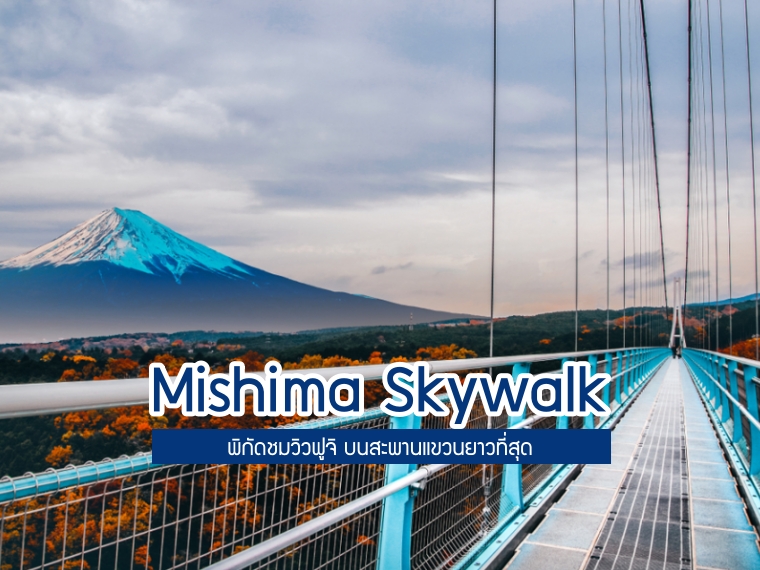 Mishima Skywalk ชม วิวภูเขาไฟฟูจิ บนสะพานแขวนญี่ปุ่นที่ยาวที่สุด