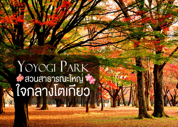 Yoyogi Park สวนโยโยงิสวนสาธารณะติดศาลเมจิ จิงกู ใจกลางฮาราจูกุ