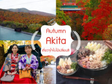 Autumn Akita ที่เที่ยว เด็ด รวม 16 พิกัด ฟินช่วงใบไม้เปลี่ยนสีที่ไม่ควรพลาด